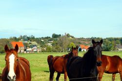 Bild 1_8